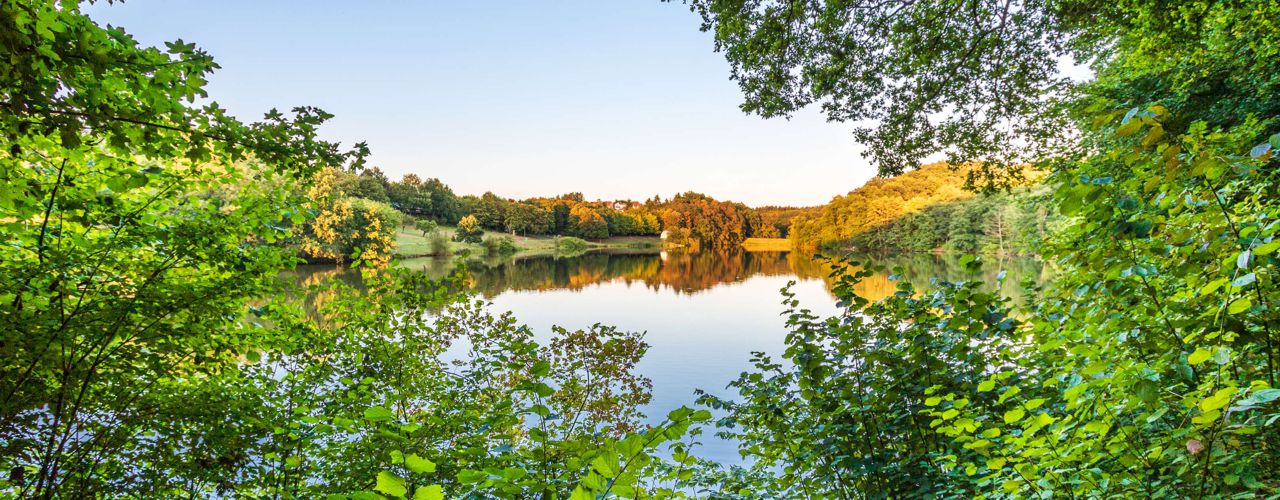 Blick durch die Blätter auf den Ohmbachsee