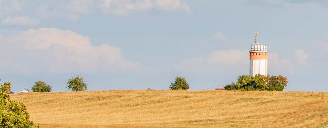 Blick auf den Aussichtsturm auf dem Sangerhof